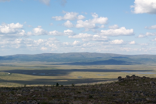 Tundra to forest