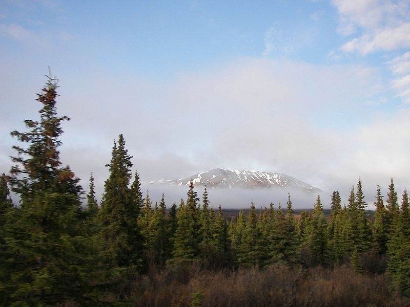 Coniferous to deciduous forest