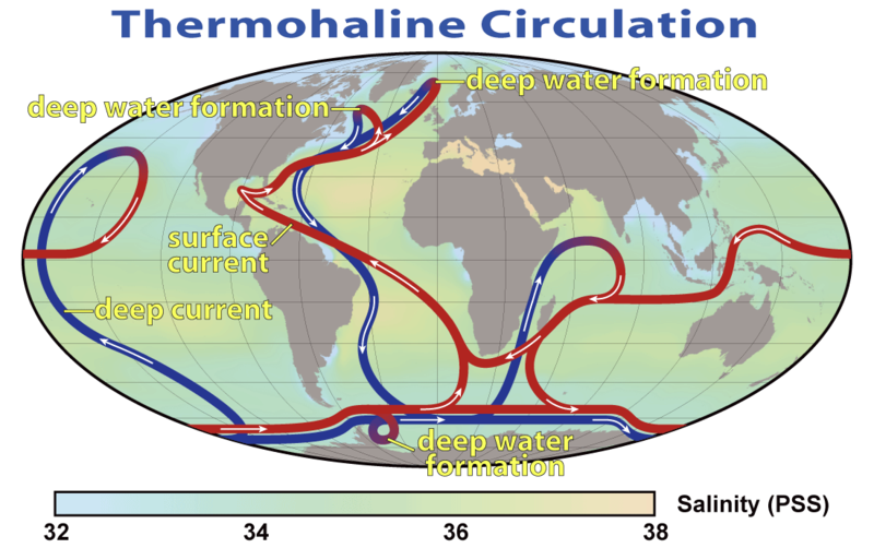 Thermohaline circulation