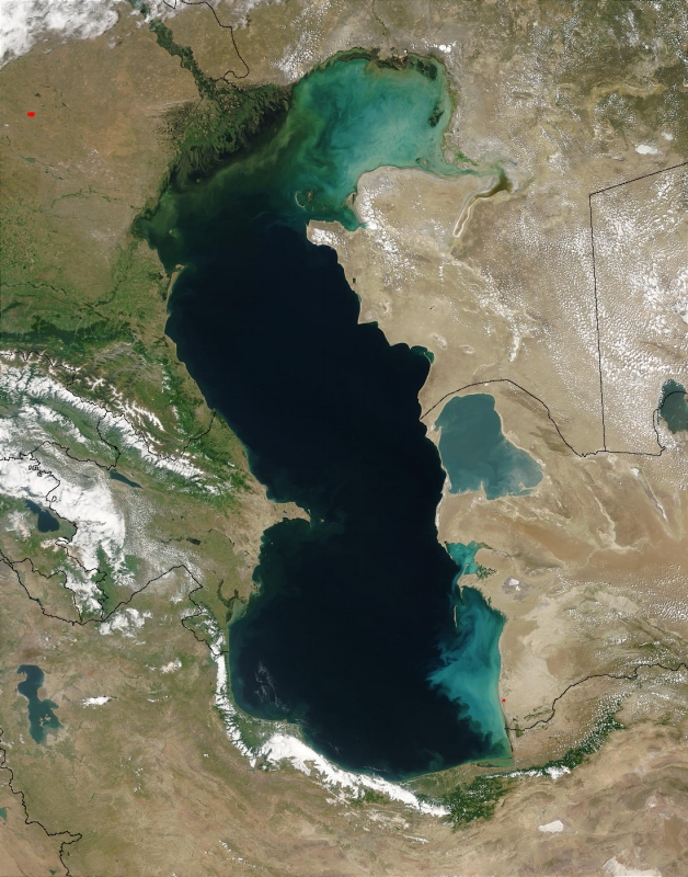 Marine eutrophication