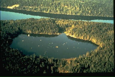 Freshwater eutrophication