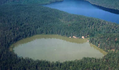 Freshwater eutrophication