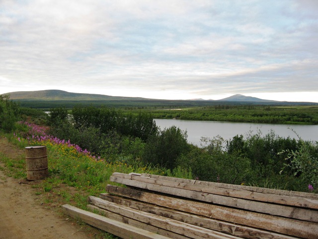 Steppe to tundra