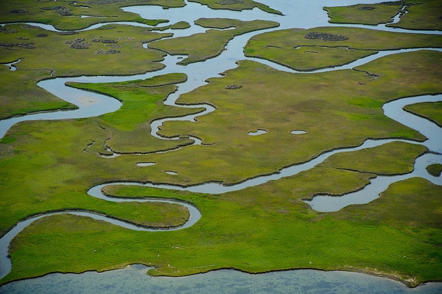 Salt marshes to tidal flats
