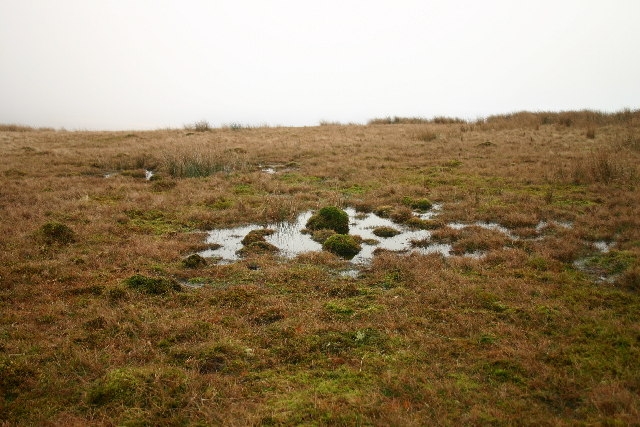 Peatland transitions