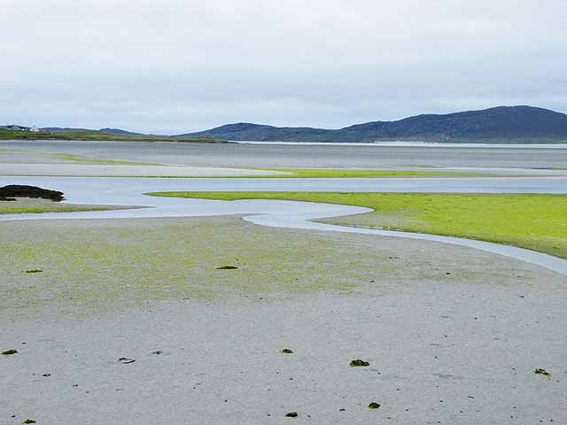 Salt marshes to tidal flats