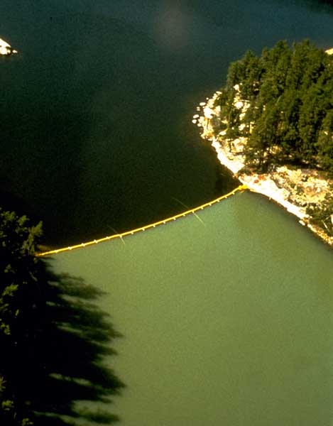 Freshwater eutrophication
